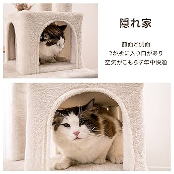 Amazon | lifesia キャットタワー 猫タワー 据え置き 多頭飼い